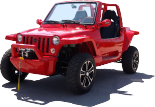 buggy rot
